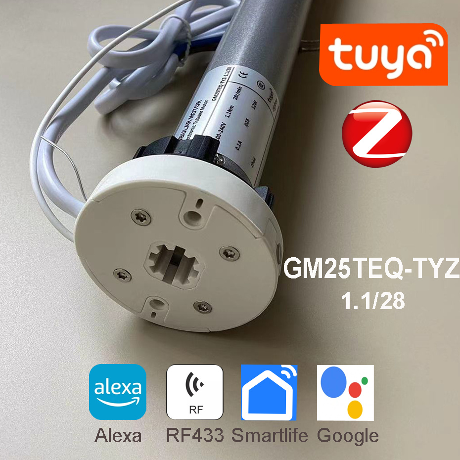 Smart Home Youtube - Tuya Zigbee GM25TEQ 1.1N 스마트 롤링