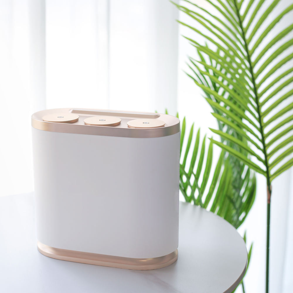 Smart Home Market - 맞춤형 개인 브랜드 향기 마케팅 홈