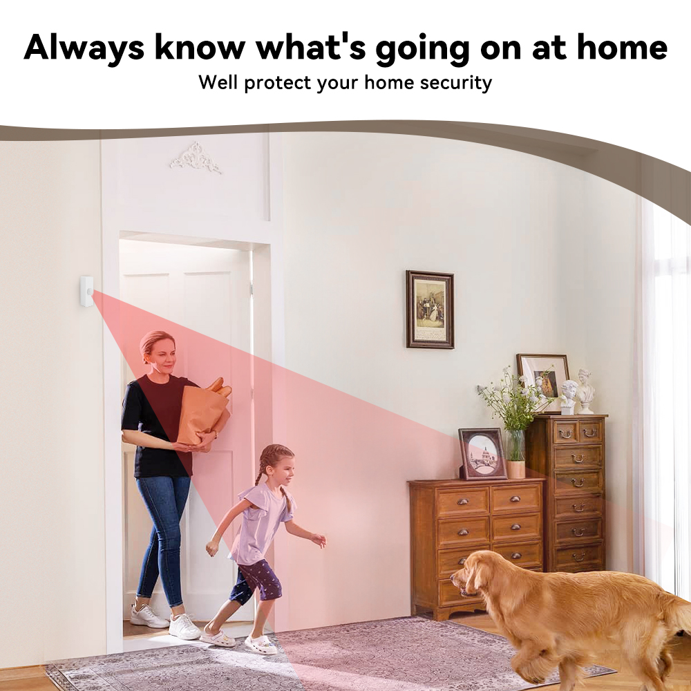 Tuya 스마트 PIR 모션 센서 스마트 홈 WiFi  - Smart Home Retrofit 리뷰 및 가격