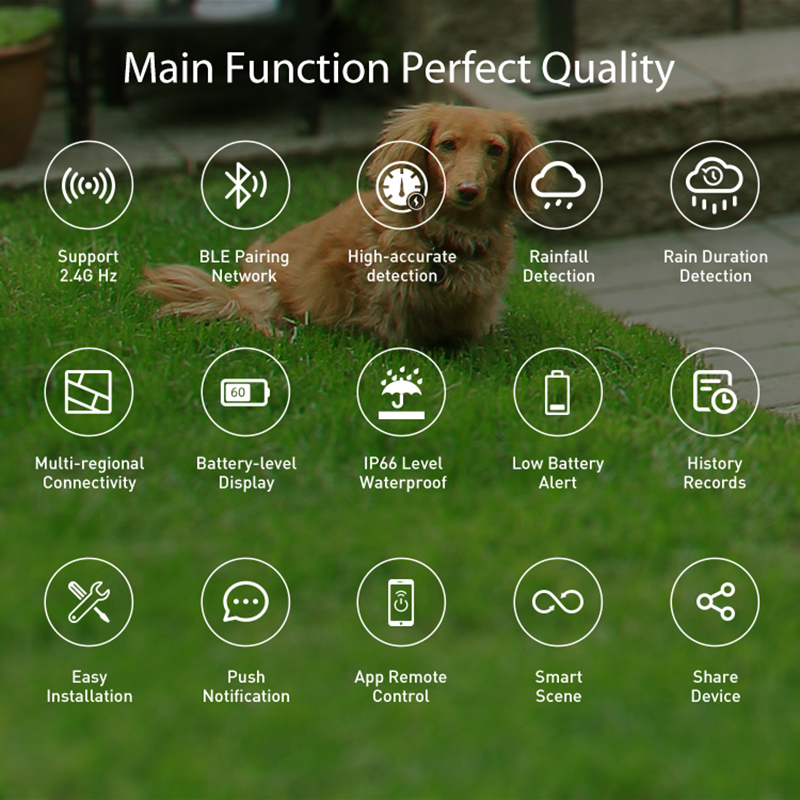 WiFi 비 센서 강우 시간 감지 야외 방수 배터리 구 - Smart Home Nas 리뷰 및 가격
